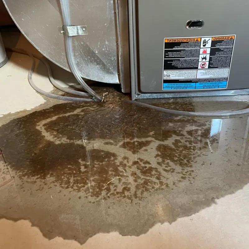 Pipe Burst and Leak Restoration in Kearney, NE